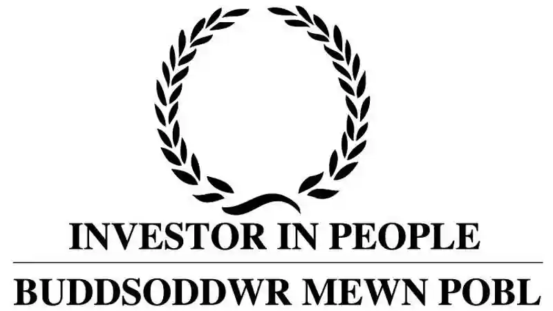 Invertor in People Buddsoddwr Mewn Pobl